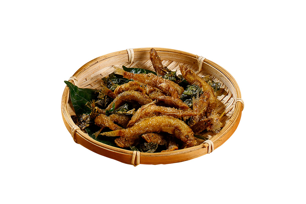 Cá suối